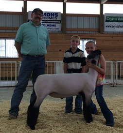 Erickson Show Lamb Champions