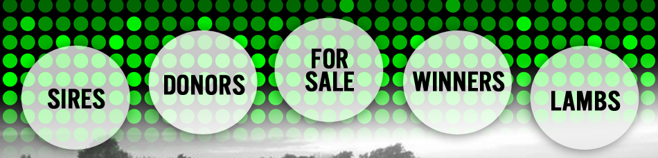 Erickson Show Stock : Hardy, Iowa